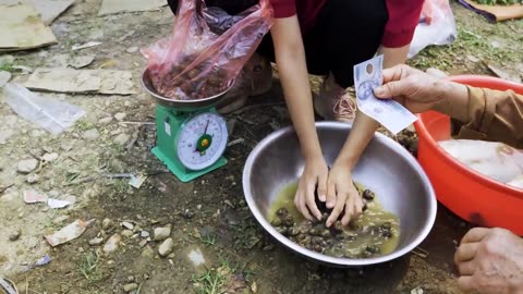 Harvesting Fish and Snail Goes to the market sell | Free New Life