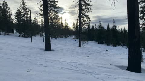 Thick Bright Snowy Mountainside – Potato Hill Sno-Park – Central Oregon – 4K