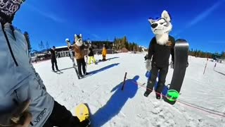 That was a first. #furry #snowboard #halfcabking