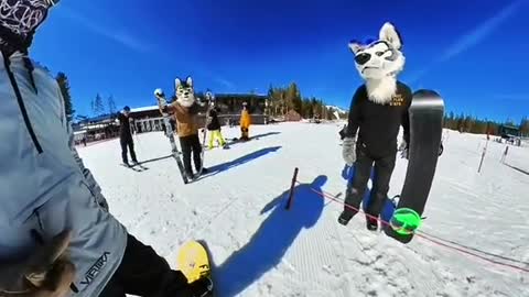 That was a first. #furry #snowboard #halfcabking