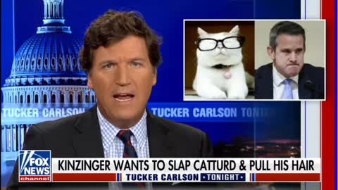 Tucker Carlson roasting Adam Kinzinger for threatening Catturd