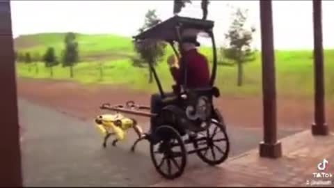 What in the Mother Nature is going on here | Robot carriage | Robotic carriage | Funny Video