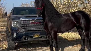 2023 Sierra 1500 Pickup Truck