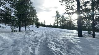 Rejuvenating Mountainside – Potato Hill Sno-Park – Central Oregon – 4K