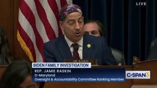 Did Jamie Raskin just admit the Deep State exists?