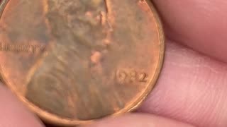 Found a bag of coins! Lets hunt them! One minute coin hunt!