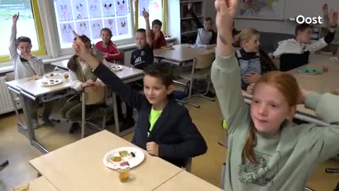🇳🇱 Dutch school children are beggining to be fed insects⚠️