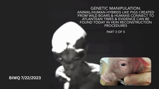 Animal Human Hybrids PART 3 of 5 - BIWQ 7/22/2023