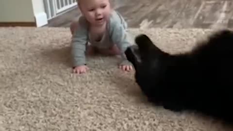 Dog dancing with the girl 😳🥰