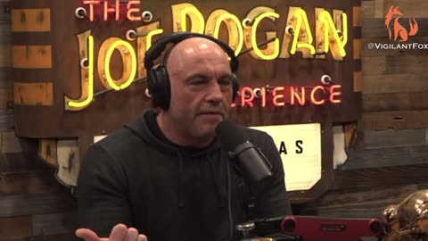 Joe Rogan Slams the 'Stupid Story' from the New York Times About COVID Coming from a Raccoon Dog