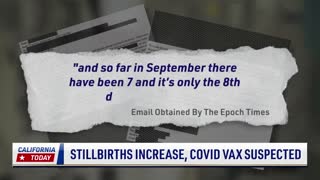 NEWS - Email da un ospedale USA, forte aumento di nati morti dopo vaccino