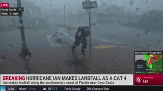 News Reporter Gets Hit By Flying Tree