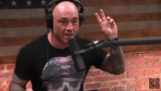 Jordan Peterson on Why Joe Rogan is Successful