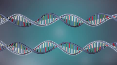 3D animation-DNA Replication