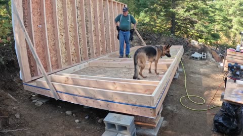 Building the first floor walls of the cabin