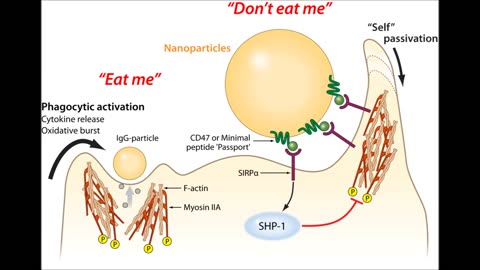 How's to fight nanotechnology part2