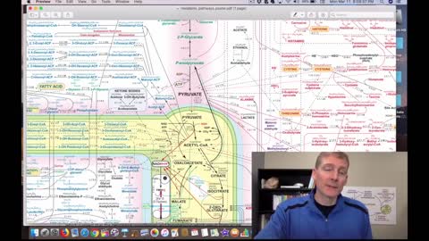 Finally, A Modern Description of Lactic Acidosis. Ketosis is Vital! #319