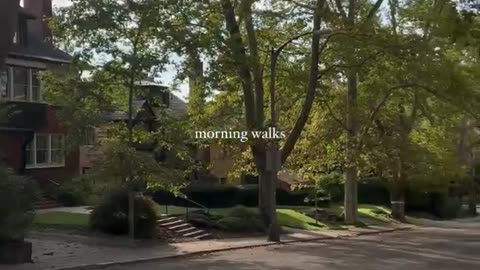 ASMR Street View in Morning Walks Vol 148 #echoplanet