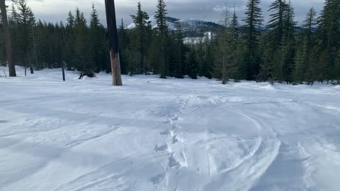 Climbing Down the Side of a Mountain – Potato Hill Sno-Park – Central Oregon – 4K