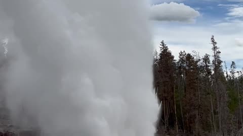 Steamboat Geyser at Yellowstone