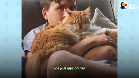 Cat Likes Dad More Than Mom | The Dodo