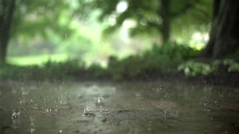 [Slow Motion] Rain Stock Footage