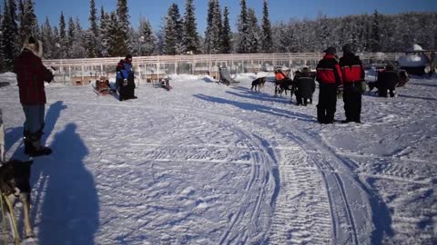 Husky Dog Sledding Overnight Tour with Northern Lights