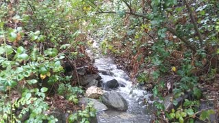 Hiking American River rain