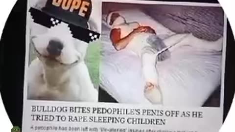 REPOST ~BULLDOG BITES PEDOPHILE’S PENIS OFF AS HE TRIED TO RAPE SLEEPING CHILDREN