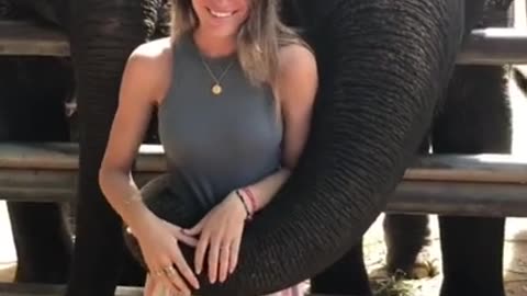 Woman gets totally slammed by elephants while trying to take a cute #viral