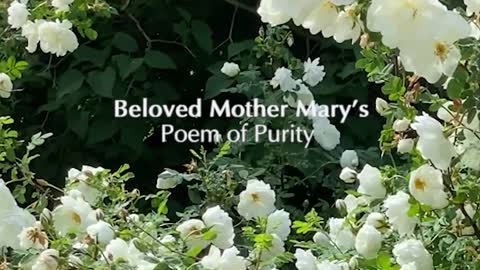 Mother Mary's Poem of Purity