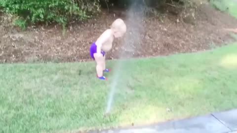 Funny babies videos