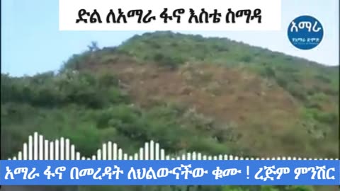 ሰበር ዜና ! ጎንደር እስቴ፣ሰማዳ! የ31ኛ ክፍለ ጦር አመራሮች ተገደሉ!!