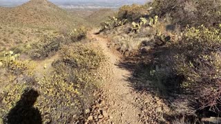 Hiking the Sweetwater Trail in Tucson