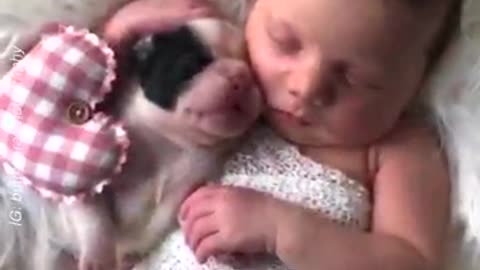 This new born puppy photo shoot will make your day credit