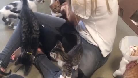 A Volunteer Is Swarmed At An Animal Shelter. You Won't Believe By What!