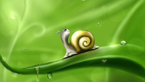 rain and thunder sound white noise with a snail