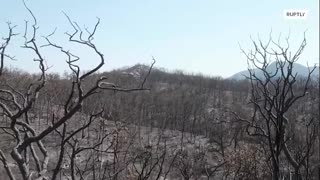 Drone is showing just how much fire has burned the land in Greece on Evros