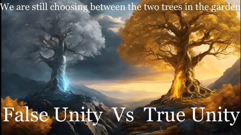 False Unity Vs True Unity
