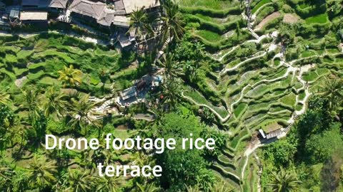 Drone footage rice terrace