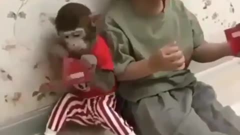 The Monkey Friend