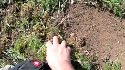Earthwarm compost seed covering and reduced tillage techniques
