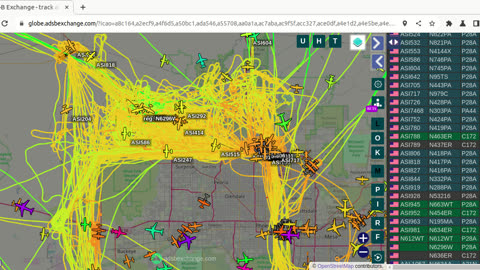 MORE BIRD NAZI ACTIVITY from BIRD NAZI ACK LLC CHINA N195MA - Feb 24th