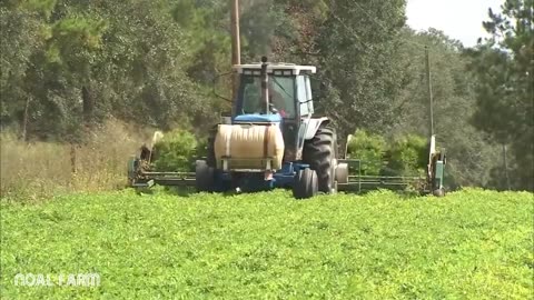 Peanut Harvesting Machine - How to Harvest Peanut in Farm - Modern Agriculture Technology