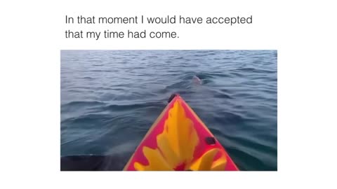 Close Encounter: Shark Circles Boat in Stunning Footage!