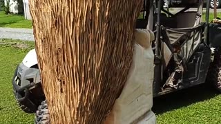 Chainsaw carved owl in progress