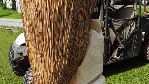 Chainsaw carved owl in progress