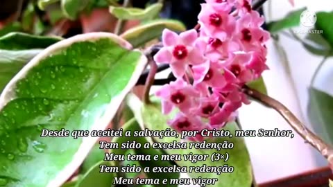 📖🐑Jardim de Louvor-16-(Hinário ADV-202 Eis uma Fonte)🐑📖