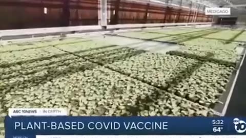 Vaccines - Plant Based Covid Vaccines