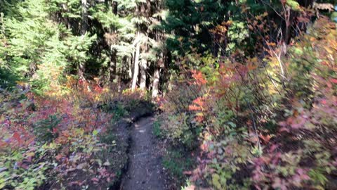 Oregon – Mount Hood – Meandering through the Wilderness